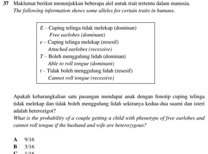 Maklumat berikut menunjukkan beberapa alel untuk trait tertentu dalam manusia.
The following information shows some alleles for certain traits in humans.
E - Cuping telinga tidak melekap (dominan)
Free earlobes (dominant)
e - Cuping telinga melekap (resesif)
Attached earlobes (recessive)
T - Boleh menggulung lidah (dominan)
Able to roll tongue (dominant)
t - Tidak boleh menggulung lidah (resesif)
Cannot roll tongue (recessive)
Apakah kebarangkalian satu pasangan mendapat anak dengan fenotip cuping telinga
tidak melekap dan tidak boleh menggulung lidah sekiranya kedua-dua suami dan isteri
adalah heterozigot?
What is the probability of a couple getting a child with phenotype of free earlobes and
cannot roll tongue if the husband and wife are heterozygous?
A 9/16
B 3/16
C 1/16