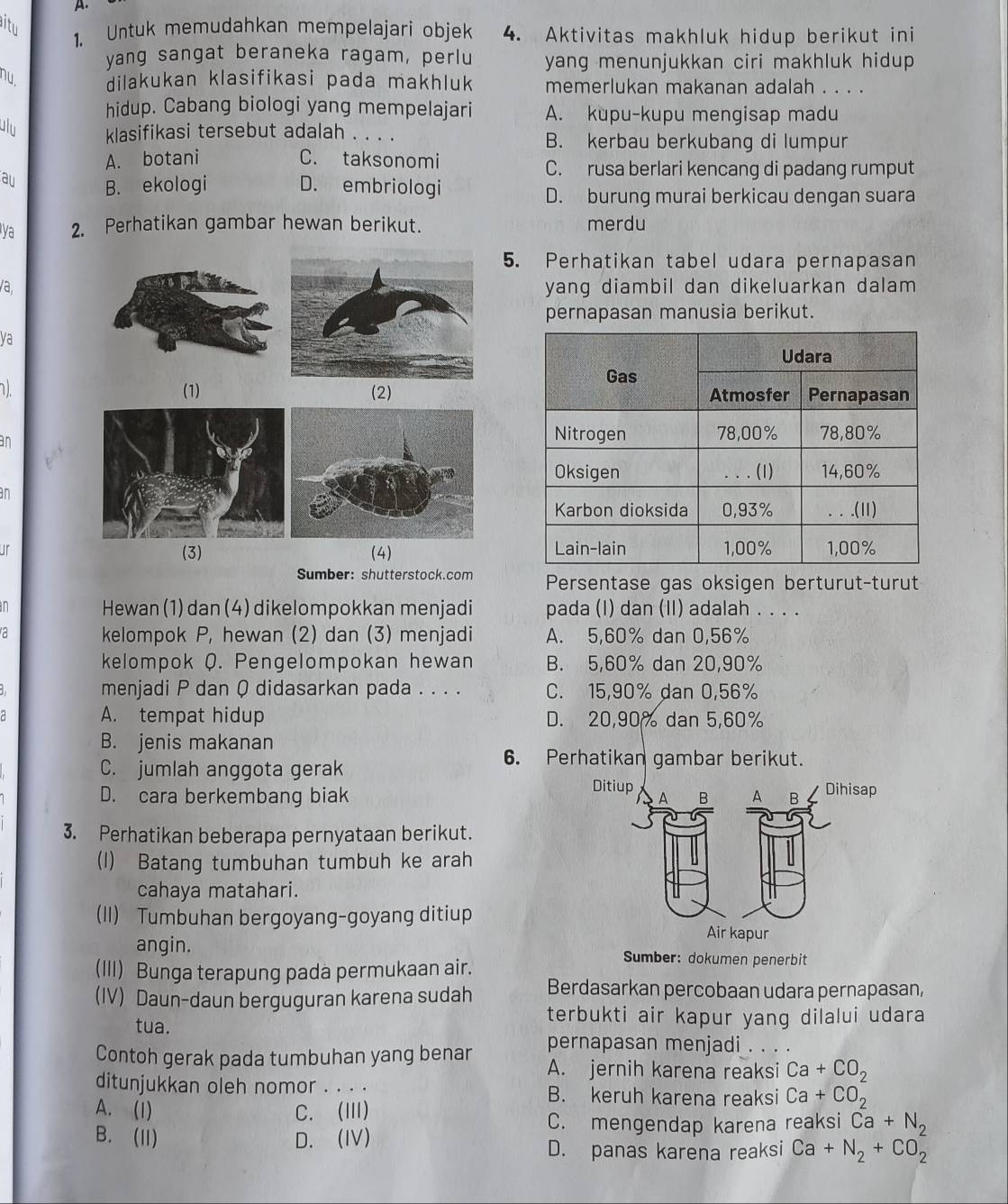 aitu
1. Untuk memudahkan mempelajari objek 4. Aktivitas makhluk hidup berikut ini
yang sangat beraneka ragam, perlu yang menunjukkan ciri makhluk hidup 
nu. dilakukan klasifikasi pada makhluk memerlukan makanan adalah . . . .
hidup. Cabang biologi yang mempelajari A. kupu-kupu mengisap madu
ulu
klasifikasi tersebut adalah . . . . B. kerbau berkubang di lumpur
A. botani C. taksonomi
C. rusa berlari kencang di padang rumput
au B. ekologi D. embriologi
D. burung murai berkicau dengan suara
ya 2. Perhatikan gambar hewan berikut. merdu
5. Perhatikan tabel udara pernapasan
a,yang diambil dan dikeluarkan dalam 
pernapasan manusia berikut.
ya
(1) (2)
an
an
Jr (3) (4) 
Sumber: shutterstock.com Persentase gas oksigen berturut-turut
n Hewan (1) dan(4) dikelompokkan menjadi pada (I) dan (II) adalah . . . .
a kelompok P, hewan (2) dan (3) menjadi A. 5,60% dan 0,56%
kelompok Q. Pengelompokan hewan B. 5,60% dan 20,90%
menjadi P dan Q didasarkan pada . . . . C. 15,90% dan 0,56%
A. tempat hidup D. 20,90% dan 5,60%
B. jenis makanan
C. jumlah anggota gerak
6. Perhatikan gambar berikut.
D. cara berkembang biak 
3. Perhatikan beberapa pernyataan berikut.
(1) Batang tumbuhan tumbuh ke arah
cahaya matahari.
(II) Tumbuhan bergoyang-goyang ditiup
angin.  Sumber: dokumen penerbit
(III) Bunga terapung pada permukaan air.
(IV) Daun-daun berguguran karena sudah Berdasarkan percobaan udara pernapasan,
tua.
terbukti air kapur yang dilalui udara
pernapasan menjadi
Contoh gerak pada tumbuhan yang benar A. jernih karena reaksi Ca+CO_2
ditunjukkan oleh nomor . . . . B. keruh karena reaksi Ca+CO_2^(2
A. (1) C. (III)
B. (II) D. (IV)
C. mengendap karena reaksi Ca+N_2)
D. panas karena reaksi Ca+N_2+CO_2