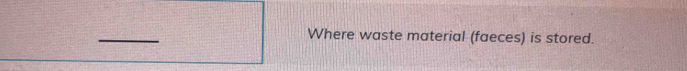 Where waste material (faeces) is stored.