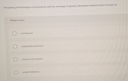 The pairing of homologous chromosomes with the exchange of genetic information between them is known as
Multiple Choice
crossing over.
independent assorment.
lining up at the equator.
random fersilization