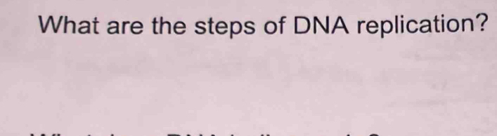 What are the steps of DNA replication?