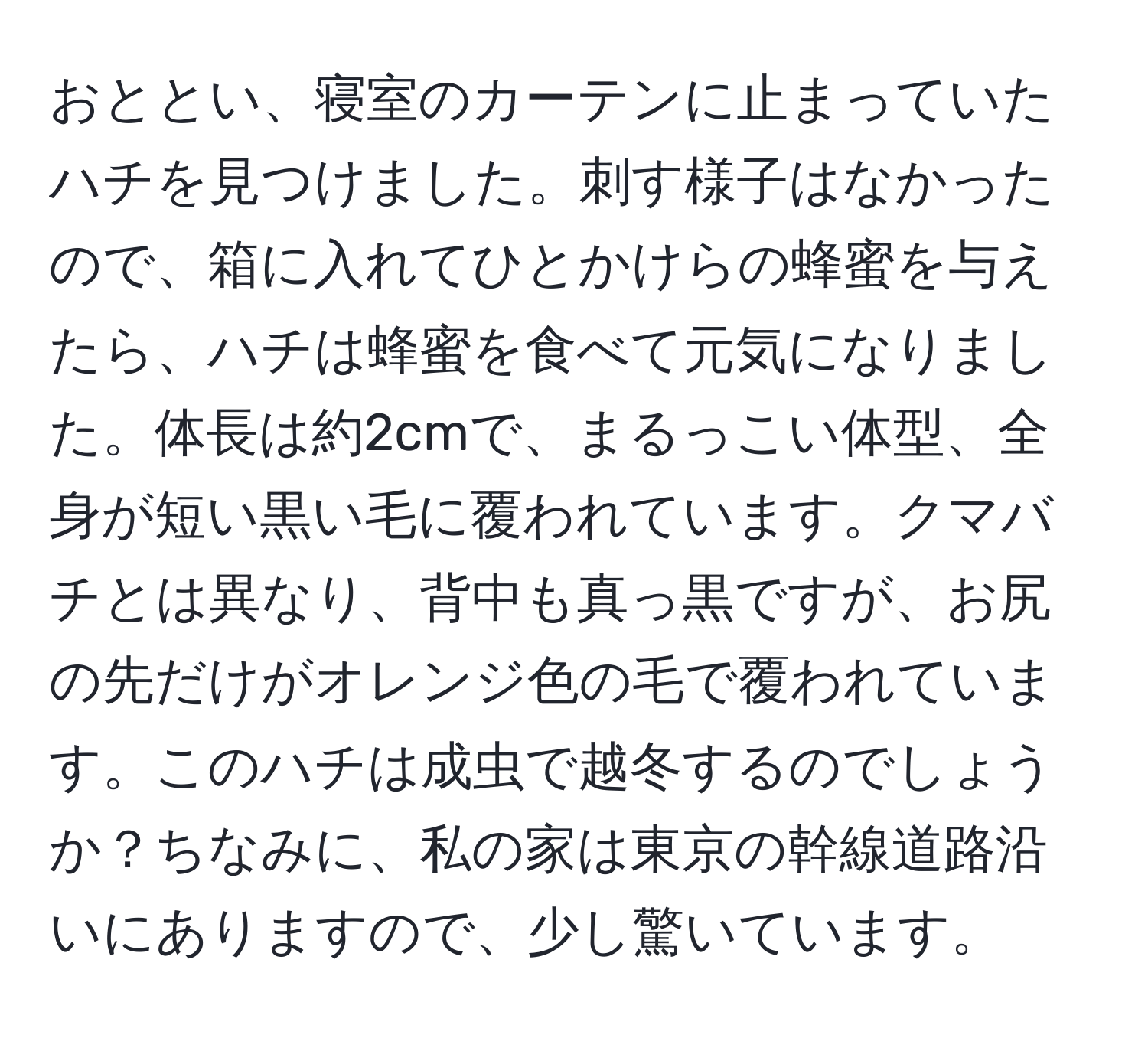 おととい、寝室のカーテンに止まっていたハチを見つけました。刺す様子はなかったので、箱に入れてひとかけらの蜂蜜を与えたら、ハチは蜂蜜を食べて元気になりました。体長は約2cmで、まるっこい体型、全身が短い黒い毛に覆われています。クマバチとは異なり、背中も真っ黒ですが、お尻の先だけがオレンジ色の毛で覆われています。このハチは成虫で越冬するのでしょうか？ちなみに、私の家は東京の幹線道路沿いにありますので、少し驚いています。