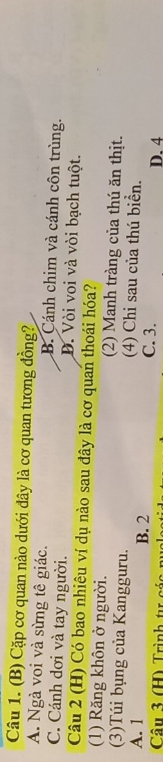 Cặp cơ quan nào dưới đây là cơ quan tương đồng?
A. Ngà voi và sừng tê giác. B. Cánh chim và cánh côn trùng.
C. Cánh dơi và tay người. D. Vòi voi và vòi bạch tuột.
Câu 2 (H) Có bao nhiêu ví dụ nào sau đây là cơ quan thoái hóa?
(1) Răng khôn ở người. (2) Manh tràng của thú ăn thịt.
(3)Túi bụng của Kangguru. (4) Chi sau của thú biển.
A. 1 B. 2 C. 3. D. 4
Câu 3 (H) Trình tự các n