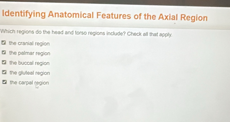 Solved: Identifying Anatomical Features of the Axial Region Which ...