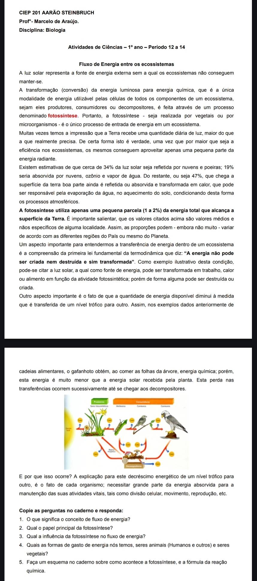 CIEP 201 AARÃO STEINBRUCH
Profº- Marcelo de Araújo.
Disciplina: Biologia
Atividades de Ciências - 1º ano - Período 12 a 14
Fluxo de Energia entre os ecossistemas
A luz solar representa a fonte de energia externa sem a qual os ecossistemas não conseguem
manter-se.
A transformação (conversão) da energia luminosa para energia química, que é a única
modalidade de energia utilizável pelas células de todos os componentes de um ecossistema,
sejam eles produtores, consumidores ou decompositores, é feita através de um processo
denominado fotossíntese. Portanto, a fotossíntese - seja realizada por vegetais ou por
microorganismos - é o único processo de entrada de energia em um ecossistema.
Muitas vezes temos a impressão que a Terra recebe uma quantidade diária de luz, maior do que
a que realmente precisa. De certa forma isto é verdade, uma vez que por maior que seja a
eficiência nos ecossistemas, os mesmos conseguem aproveitar apenas uma pequena parte da
energia radiante.
Existem estimativas de que cerca de 34% da luz solar seja refletida por nuvens e poeiras; 19%
seria absorvida por nuvens, ozônio e vapor de água. Do restante, ou seja 47%, que chega a
superfície da terra boa parte ainda é refletida ou absorvida e transformada em calor, que pode
ser responsável pela evaporação da água, no aquecimento do solo, condicionando desta forma
os processos atmosféricos.
A fotossíntese utiliza apenas uma pequena parcela (1 a 2%) da energia total que alcança a
superfície da Terra. É importante salientar, que os valores citados acima são valores médios e
nãos específicos de alguma localidade. Assim, as proporções podem - embora não muito - variar
de acordo com as diferentes regiões do País ou mesmo do Planeta.
Um aspecto importante para entendermos a transferência de energia dentro de um ecossistema
é a compreensão da primeira lei fundamental da termodinâmica que diz: "A energia não pode
ser criada nem destruída e sim transformada'. Como exemplo ilustrativo desta condição,
pode-se citar a luz solar, a qual como fonte de enerqia, pode ser transformada em trabalho, calor
ou alimento em função da atividade fotossintética; porém de forma alguma pode ser destruída ou
criada.
Outro aspecto importante é o fato de que a quantidade de energia disponível diminui à medida
que é transferida de um nível trófico para outro. Assim, nos exemplos dados anteriormente de
cadeias alimentares, o gafanhoto obtém, ao comer as folhas da árvore, energia química; porém,
esta energia é muito menor que a energia solar recebida pela planta. Esta perda nas
transferências ocorrem sucessivamente até se chegar aos decompositores.
E por que isso ocorre? A explicação para este decréscimo energético de um nível trófico para
outro, é o fato de cada organismo; necessitar grande parte da energia absorvida para a
manutenção das suas atividades vitais, tais como divisão celular, movimento, reprodução, etc.
Copie as perguntas no caderno e responda:
1. O que significa o conceito de fluxo de energia?
2. Qual o papel principal da fotossíntese?
3. Qual a influência da fotossíntese no fluxo de energia?
4. Quais as formas de gasto de energia nós temos, seres animais (Humanos e outros) e seres
vegetais?
5. Faça um esquema no caderno sobre como acontece a fotossíntese, e a fórmula da reação
química.