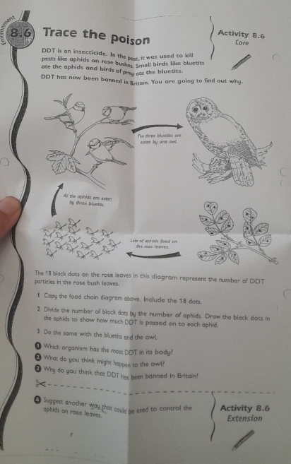 ont 
Activity 8.6 
8.6 Trace the poison Core 
DDT is an insecticide. In the pass it was used to kill 
pests like aphids on rose bushes. Small birds like bluetits 
ate the aphids and birds of prey ate the bluetits. 
DDT has now been banned in Britain. You are going to find out why. 
The 18 black dots on the rose leaves in this diagram represent the number of DDT 
particles in the rose bush leaves. 
1 Copy the food chain diagram above. Include the 18 dots. 
2 Divide the number of black dots by the number of aphids. Draw the black dots in 
the aphids to show how much DDT is passed on to each aphid. 
3 Do the same with the bluetits and the owl. 
Which organism has the most DOT in its body! 
What do you think might happen to the owl? 
D Why do you think that DDT has been banned in Britain? 
● Suggest another way that could be used to control the Activity 8.6 
aphids on rose leaves. 
Extension