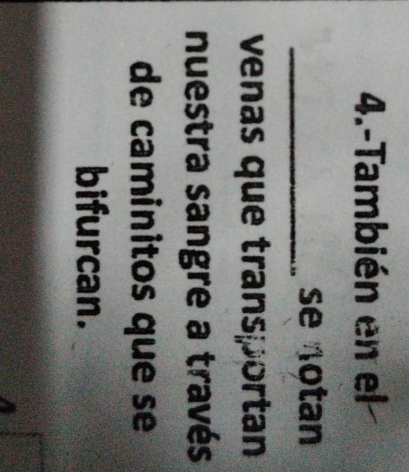 4.-También en el 
_se notan 
venas que transportan 
nuestra sangre a través 
de caminitos que se 
bifurcan.