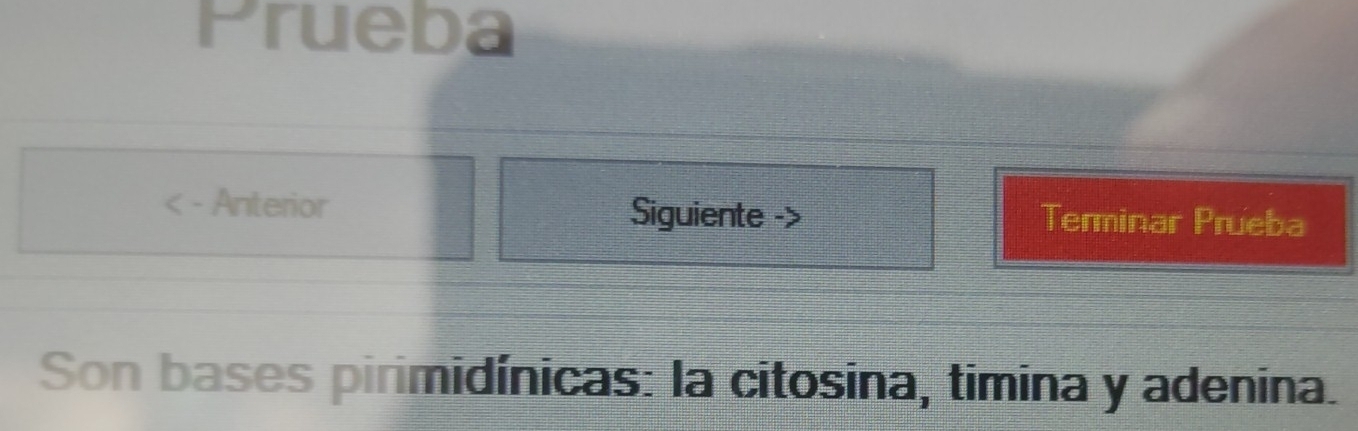 Prueba 
< - Anterior Siguiente -> Terminar Prueba 
Son bases pirimidínicas: la citosina, timina y adenina.