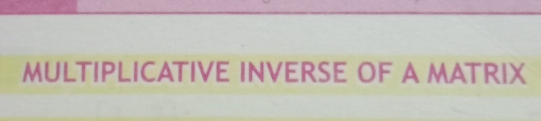 MULTIPLICATIVE INVERSE OF A MATRIX