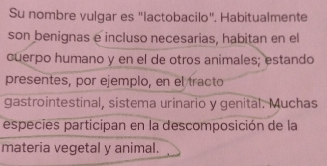 Su nombre vulgar es "lactobacilo". Habitualmente 
son benignas e incluso necesarias, habitan en el 
cuerpo humano y en el de otros animales; estando 
presentes, por ejemplo, en el tracto 
gastrointestinal, sistema urinario y genital. Muchas 
especies participan en la descomposición de la 
materia vegetal y animal.