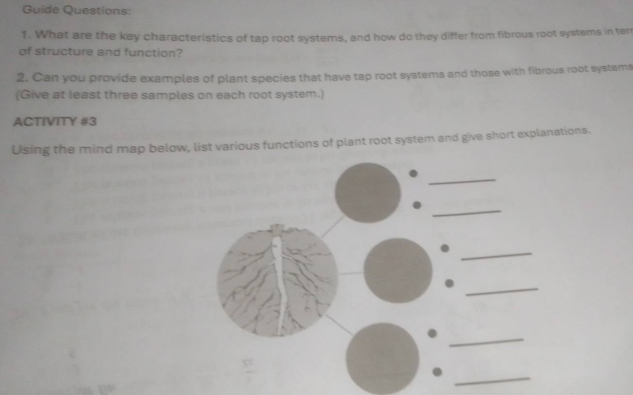 Guide Questions: 
1. What are the key characteristics of tap root systems, and how do they differ from fibrous root systems in ter 
of structure and function? 
2. Can you provide examples of plant species that have tap root systems and those with fibrous root systems 
(Give at least three samples on each root system.) 
ACTIVITY #3 
Using the mind map below, list various functions of plant root system and give short explanations. 
_