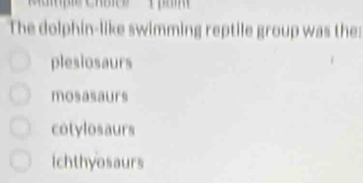 The dolphin-like swimming reptile group was the:
plesiosaurs
mosasaurs
cotylosaurs
ichthyosaurs