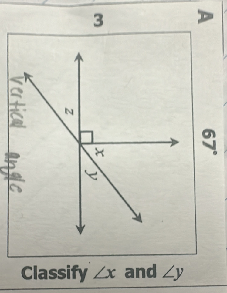 Classify ∠ x and ∠ y