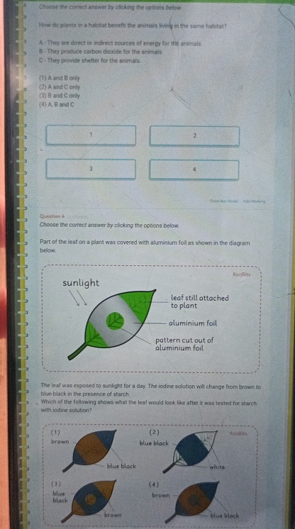 Choose the correct answer by clicking the options below
How do plants in a habitat benefit the animals living in the same habitat?
A - They are direct or indirect sources of energy for the animals
B - They produce carbon dioxide for the animals
C - They provide shelter for the animals.
(1) A and B only
(2) A and C only
(3) B and C only
(4) A, B and C
1
2
3
4
*Digw Bus Model Add Warking
Question &
Choose the correct answer by clicking the options below.
Part of the leaf on a plant was covered with aluminium foil as shown in the diagram
below.
KooBits
sunlight
leaf still attached
to plant
aluminium foil
pattern cut out of
aluminium foil
The leaf was exposed to sunlight for a day. The iodine solution will change from brown to
blue-black in the presence of starch.
Which of the following shows what the leaf would look like after it was tested for starch
with iodine solution?
(2) KooBits
lue black
white
( 3 ) 
blue
black 
brown