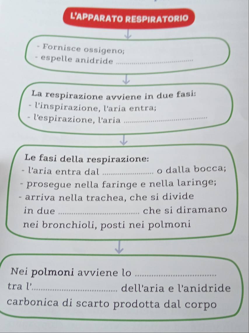 L'APPARATO RESPIRATORIO 
Fornisce ossigeno; 
espelle anidride ._ 
La respirazione avviene in due fasi: 
- l'inspirazione, l'aria entra; 
- l'espirazione, l'aria_ 
Le fasi della respirazione: 
l'aria entra dal _o dalla bocca; 
prosegue nella faringe e nella laringe; 
、 arriva nella trachea, che si divide 
in due _che si diramano 
nei bronchioli, posti nei polmoni 
Nei polmoni avviene lo_ 
tra l_ dell’aria e l'anidride 
carbonica di scarto prodotta dal corpo