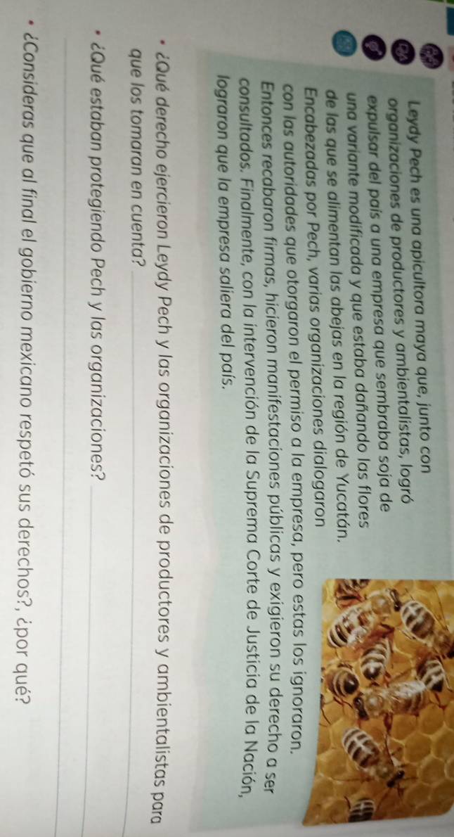 Leydy Pech es una apicultora maya que, junto con 
my organizaciones de productores y ambientalistas, logró 
expulsar del país a una empresa que sembraba soja de 
una variante modificada y que estaba dañando las flores 
de las que se alimentan las abejas en la región de Yucatán. 
Encabezadas por Pech, varias organizaciones dialogaron 
con las autoridades que otorgaron el permiso a la empresa, 
Entonces recabaron firmas, hicieron manifestaciones públicas y exigieron su derecho a ser 
consultados. Finalmente, con la intervención de la Suprema Corte de Justicia de la Nación, 
lograron que la empresa saliera del país. 
¿Qué derecho ejercieron Leydy Pech y las organizaciones de productores y ambientalistas para 
que los tomaran en cuenta?_ 
¿Qué estaban protegiendo Pech y las organizaciones?_ 
_ 
¿Consideras que al final el gobierno mexicano respetó sus derechos?, ¿por qué?