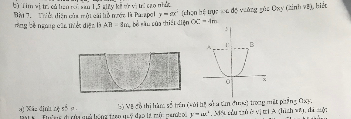 Tìm vị trí cá heo rơi sau 1, 5 giây kể từ vị trí cao nhất. 
Bài 7. Thiết diện của một cái hồ nước là Parapol y=ax^2 (chọn hệ trục tọa độ vuông góc Oxy (hình vẽ), biết 
rằng bề ngang của thiết diện là AB=8m , bề sâu của thiết diện OC=4m. 
a) Xác định hệ số a. b) Vẽ đồ thị hàm số trên (với hệ số a tìm được) trong mặt phẳng Oxy. 
Bài 8 Đường đi của quả bóng theo quỹ đạo là một parabol y=ax^2. Một cầu thủ ở vị trí A (hình vẽ), đá một