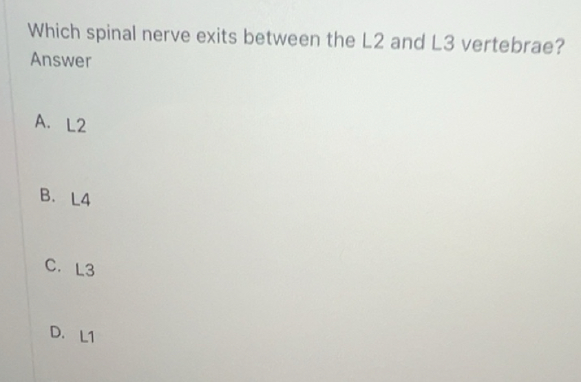 Solved: Which spinal nerve exits between the L2 and L3 vertebrae ...