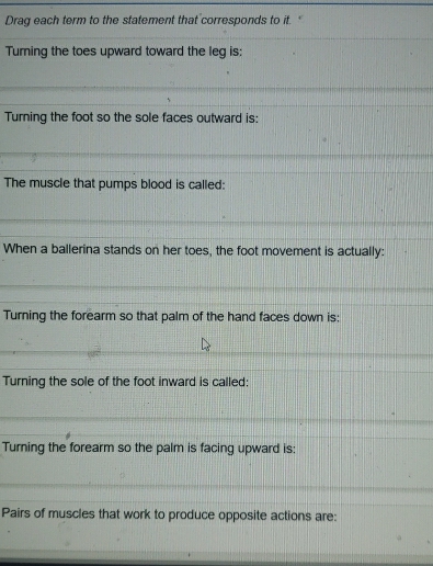 Drag each term to the statement that corresponds to it. 
Turning the toes upward toward the leg is:
Turning the foot so the sole faces outward is:
The muscle that pumps blood is called:
When a ballerina stands on her toes, the foot movement is actually:
Turning the forearm so that palm of the hand faces down is:
Turning the sole of the foot inward is called:
Turning the forearm so the palm is facing upward is:
Pairs of muscles that work to produce opposite actions are: