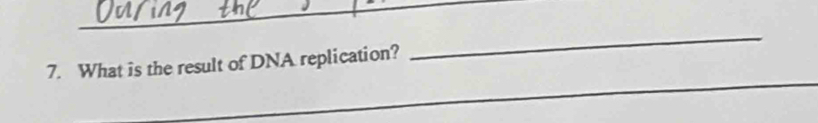 What is the result of DNA replication?