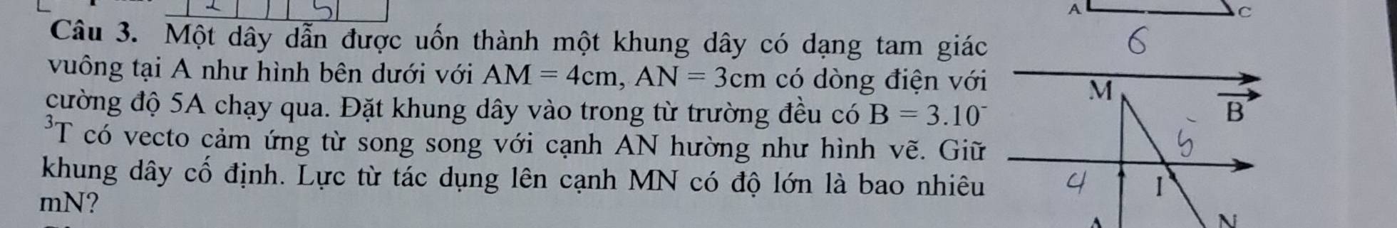 A
C 
Câu 3. Một dây dẫn được uốn thành một khung dây có dạng tam giác 
vuông tại A như hình bên dưới với AM=4cm, AN=3cm có dòng điện với
M
cường độ 5A chạy qua. Đặt khung dây vào trong từ trường đều có B=3.10^- B 
*T có vecto cảm ứng từ song song với cạnh AN hường như hình vẽ. Giữ 
khung dây cổ định. Lực từ tác dụng lên cạnh MN có độ lớn là bao nhiêu 1
mN? 

N