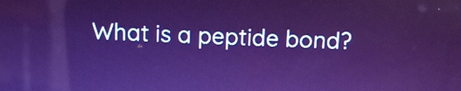 What is a peptide bond?