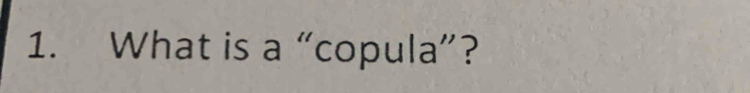 What is a “copula”?