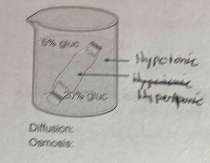 Diffusion: 
Osmosis