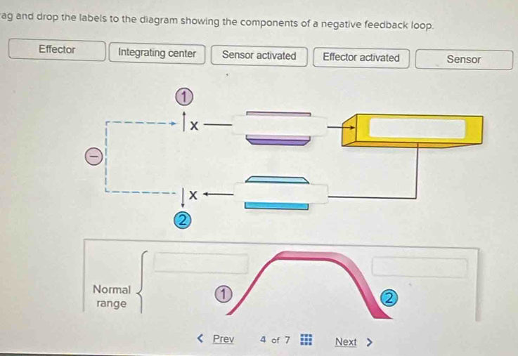 Solved: ag and drop the labels to the diagram showing the components of ...