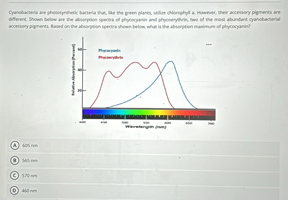 Cyanobacteria are photosynthetic bacteria that, like the green plants, utilize chlorophyll a. However, their accessory pigments are
different. Shown below are the absorption spectra of phycocyanin and phycoerythrin, two of the most abundant cyanobacterial
accessory pigments. Based on the absorption spectra shown below, what is the absorption maximum of phycocyanin?
A 605 nm
B  565 nm
C 570 nm
D 460 nm