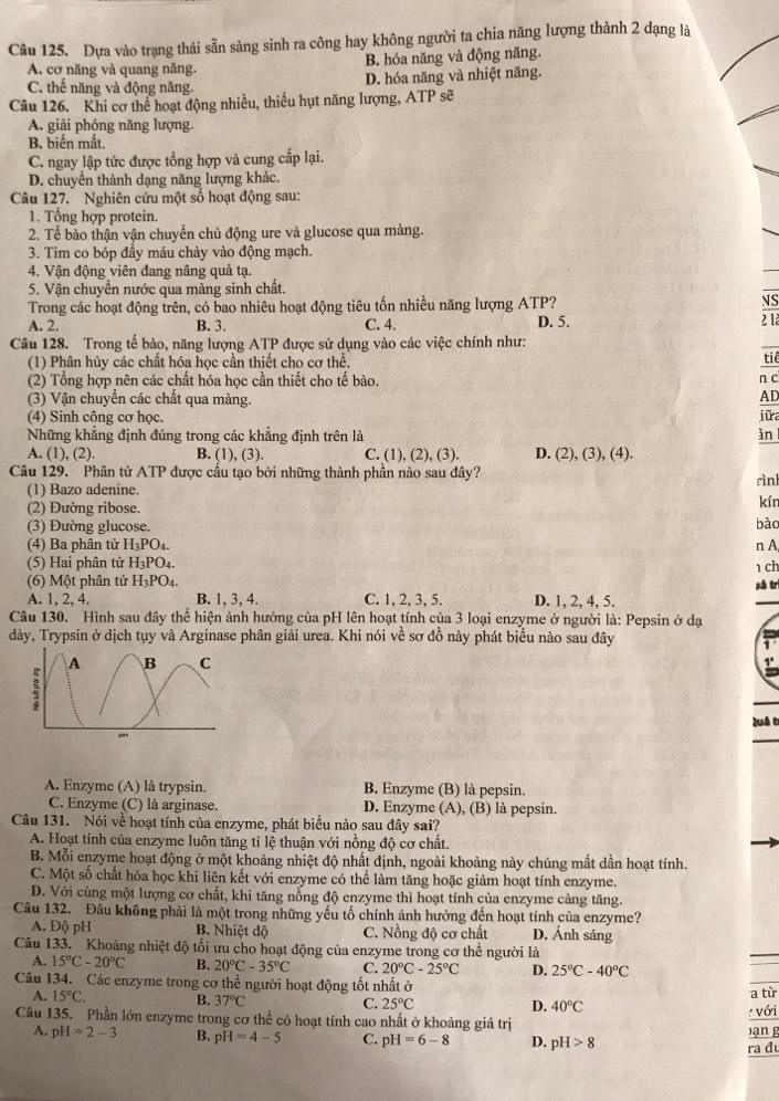 Dựa vào trạng thái sẵn sàng sinh ra công hay không người ta chia năng lượng thành 2 dạng là
A. cơ năng và quang năng. B. hóa năng và động năng.
D. hóa năng và nhiệt năng.
C. thể năng và động năng.
Câu 126. Khi cơ thể hoạt động nhiều, thiếu hụt năng lượng, ATP sẽ
A. giải phóng năng lượng.
B. biến mất.
C. ngay lập tức được tổng hợp và cung cấp lại.
D. chuyển thành dạng năng lượng khác.
Câu 127. Nghiên cứu một số hoạt động sau:
1. Tổng hợp protein.
2. Tế bào thận vận chuyển chủ động ure và glucose qua màng.
3. Tim co bóp đầy máu chảy vào động mạch.
4. Vận động viên đang nâng quả tạ.
5. Vận chuyển nước qua màng sinh chất.
Trong các hoạt động trên, có bao nhiêu hoạt động tiêu tốn nhiều năng lượng ATP? NS
A. 2. B. 3. C. 4. D. 5. 2 là
Câu 128. Trong tế bào, năng lượng ATP được sử dụng vào các việc chính như:
(1) Phân hủy các chất hóa học cần thiết cho cơ thể, tiê
(2) Tổng hợp nên các chất hóa học cần thiết cho tế bào. n c
(3) Vận chuyển các chất qua màng.
AD
(4) Sinh công cơ học. jữa
Những khẳng định đúng trong các khẳng định trên là àn l
A. (1), (2). B. (1), (3). C. (1), (2), (3). D. (2), (3), (4).
Câu 129. Phân tử ATP được cấu tạo bởi những thành phần nào sau đây?
rìnl
(1) Bazo adenine.
(2) Đường ribose.
kín
(3) Đường glucose.
(4) Ba phân tử H_3PO_4. n A bào
(5) Hai phân tử H_3PO_4. 1 ch
(6) Một phân tử H_3PO_4. sá tr
A. 1, 2, 4. B. 1, 3, 4. C. 1, 2, 3, 5. D. 1, 2, 4, 5.
Câu 130. Hình sau đây thể hiện ảnh hưởng của pH lên hoạt tính của 3 loại enzyme ở người là: Pepsin ở dạ
dày, Trypsin ở dịch tụy và Arginase phân giải urea. Khi nói về sơ đồ này phát biểu nào sau đây
luá t
A. Enzyme (A) là trypsin. B. Enzyme (B) là pepsin.
C. Enzyme (C) là arginase. D. Enzyme (A), (B) là pepsin.
Câu 131. Nói về hoạt tính của enzyme, phát biểu nào sau đây sai?
A. Hoạt tính của enzyme luôn tăng tỉ lệ thuận với nồng độ cơ chất.
B. Mỗi enzyme hoạt động ở một khoảng nhiệt độ nhất định, ngoài khoảng này chúng mất dần hoạt tính.
C. Một số chất hóa học khi liên kết với enzyme có thể làm tăng hoặc giảm hoạt tính enzyme.
D. Với cùng một lượng cơ chất, khi tăng nổng độ enzyme thì hoạt tính của enzyme càng tăng.
Câu 132. Đầu không phải là một trong những yếu tố chính ảnh hưởng đến hoạt tính của enzyme?
A. Độ pH  B. Nhiệt độ C. Nồng độ cơ chất D. Ánh sáng
Câu 133. Khoảng nhiệt độ tối ưu cho hoạt động của enzyme trong cơ thể người là
A. 15°C-20°C B. 20°C-35°C Q 20°C-25°C D. 25°C-40°C
Câu 134. Các enzyme trong cơ thể người hoạt động tốt nhất ở
A. 15°C. B. 37°C C. 25°C D. 40°C a từ
Câu 135. Phần lớn enzyme trong cơ thể có hoạt tính cao nhất ở khoảng giá trị
: với
A. pH=2-3 B. pH=4-5 C. pH=6-8 D. pH>8 ạn g
ra đ