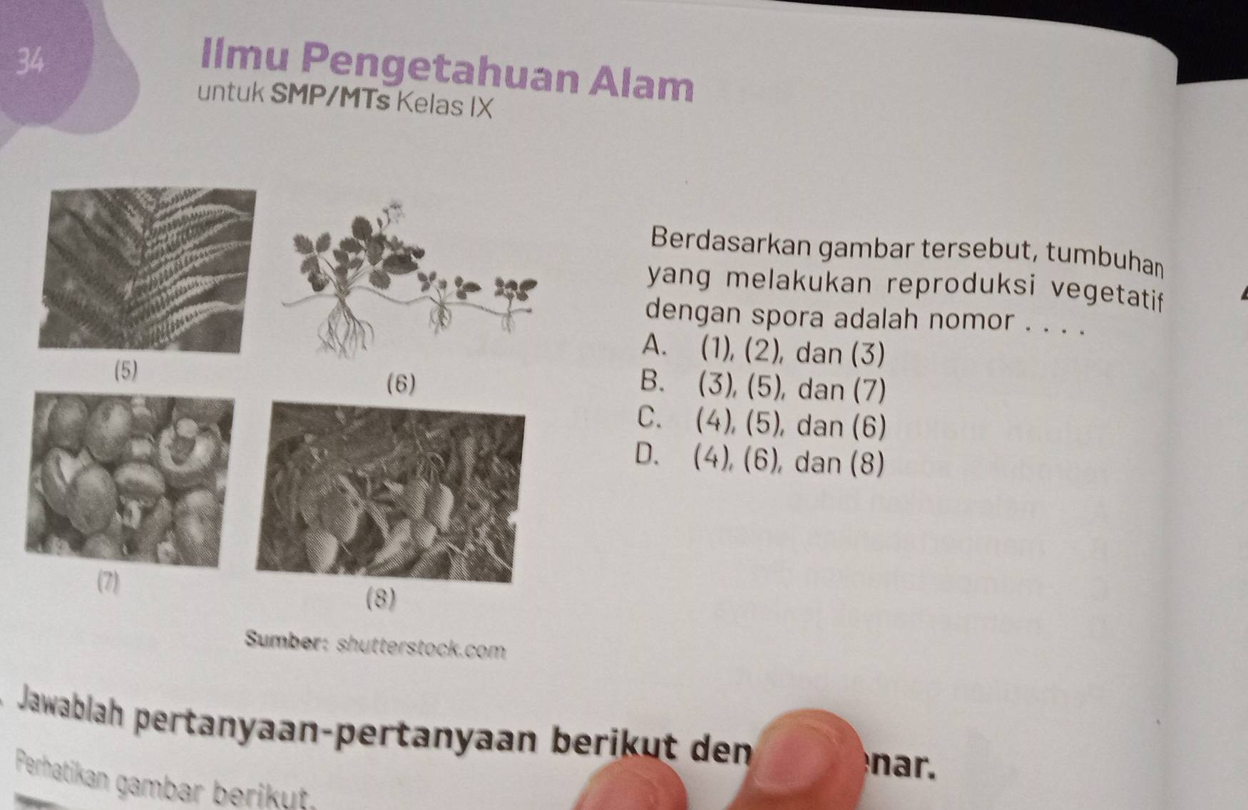 Ilmu Pengetahuan Alam
untuk SMP/MTs Kelas IX
Berdasarkan gambar tersebut, tumbuhan
yang melakukan reproduksi vegetatif
dengan spora adalah nomor . . . .
A. (1), (2), dan (3)
B. (3), (5), dan (7)
C. . (4), (5), ), dan (6)
D. (4), (6), dan (8)
Sumber: shutterstock.com
Jawablah pertanyaan-pertanyaan berikut den
nar.
Perhatikan gambar berikut.