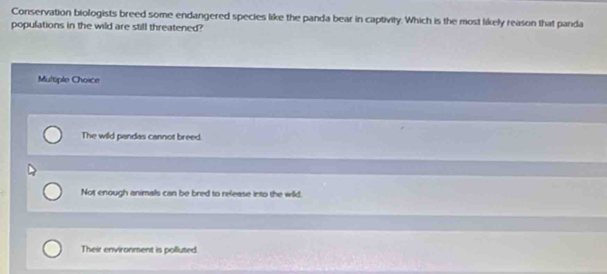 Conservation biologists breed some endangered species like the panda bear in captivity. Which is the most likely reason that panda
populations in the wild are still threatened?
Multiple Choice
The wild pandas cannot breed.
Not enough animals can be bred to release into the wild.
Their environment is polluted.