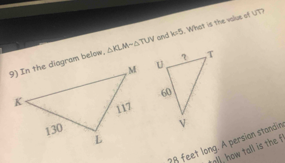 △ KLMsim △ TUV and k=5 What is the value of UT?
78 feet long. A persian standin 
tall, how tall is the f