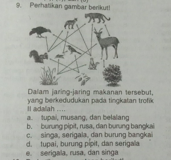 Perhatikan gambar berikut!
Dalam jaring-jaring makanan tersebut,
yang berkedudukan pada tingkatan trofik
II adalah ....
a. tupai, musang, dan belalang
b. burung pipit, rusa, dan burung bangkai
c. singa, serigala, dan burung bangkai
d. tupai, burung pipit, dan serigala
e. serigala, rusa, dan singa