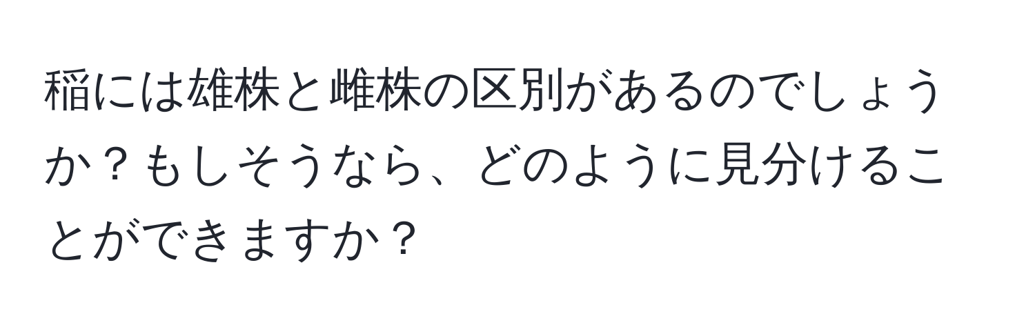 稲には雄株と雌株の区別があるのでしょうか？もしそうなら、どのように見分けることができますか？