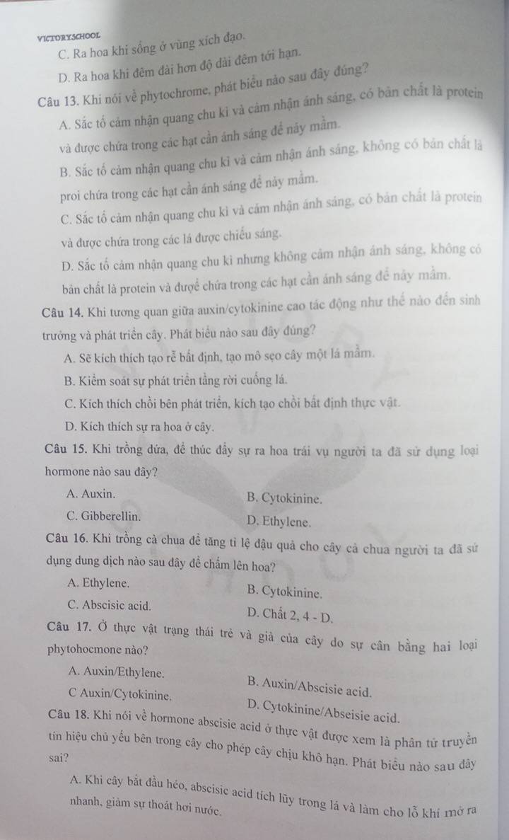 VICTORYSCHOOl
C. Ra hoa khi sổng ở vùng xích đạo.
D. Ra hoa khi đêm đài hơn độ dài đêm tới hạn.
Câu 13. Khi nói về phytochrome, phát biểu nào sau đây đúng?
A. Sắc tố cám nhận quang chu kì và cảm nhận ánh sáng, có bản chất là protein
và được chứa trong các hạt cần ánh sáng để náy mằm.
B. Sắc tố cảm nhận quang chu kỉ và cảm nhận ánh sáng, không có bản chất là
proi chứa trong các hạt cần ánh sáng đề nảy mằm.
C. Sắc tổ cảm nhận quang chu kì và cảm nhận ánh sáng, có bản chất là protein
và được chứa trong các lá được chiếu sáng.
D. Sắc tố cảm nhận quang chu kì nhưng không cảm nhận ánh sáng, không có
bản chất là protein và được chứa trong các hạt cần ánh sáng để này mằm.
Câu 14. Khi tương quan giữa auxin/cytokinine cao tác động như thể nào đến sinh
trưởng và phát triển cây. Phát biểu nào sau đây đúng?
A. Sẽ kích thích tạo rễ bất định, tạo mô sẹo cây một lá mầm.
B. Kiểm soát sự phát triển tầng rời cuống lá.
C. Kích thích chồi bên phát triển, kích tạo chồi bất định thực vật.
D. Kích thích sự ra hoa ở cây.
Câu 15. Khi trồng dứa, để thúc đầy sự ra hoa trái vụ người ta đã sử dụng loại
hormone nào sau đây?
A. Auxin. B. Cytokinine.
C. Gibberellin. D. Ethylene.
Câu 16. Khi trồng cà chua đề tăng tỉ lệ đậu quả cho cây cả chua người ta đã sử
dụng dung dịch nào sau đây đề chẩm lên hoa?
A. Ethylene.
B. Cytokinine.
C. Abscisic acid.
D. Chất 2, 4 - D.
Câu 17. Ở thực vật trạng thái trẻ và giả của cây do sự cân bằng hai loại
phytohocmone nào?
A. Auxin/Ethylene.
B. Auxin/Abscisie acid.
C Auxin/Cytokinine.
D. Cytokinine/Abseisie acid.
Câu 18. Khi nói về hormone abscisie acid ở thực vật được xem là phân tử truyền
tin hiệu chủ yếu bên trong cây cho phép cây chịu khô hạn. Phát biểu nào sau đây
sai?
A. Khi cây bắt đầu héo, abscisic acid tích lũy trong lá và làm cho lỗ khí mở ra
nhanh, giàm sự thoát hơi nước.