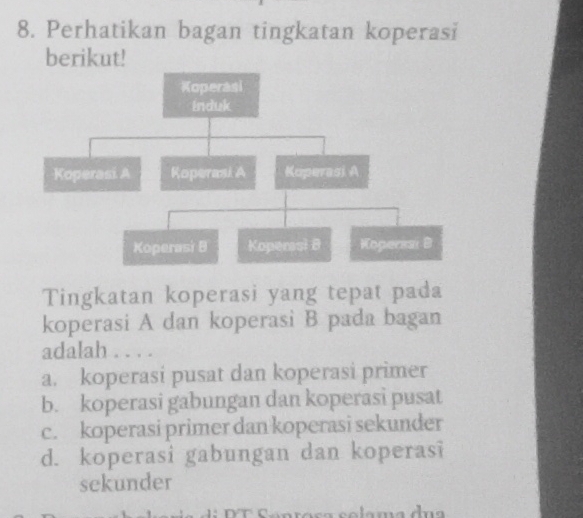 Perhatikan bagan tingkatan koperasi
berikut!
Tingkatan koperasi yang tepat pada
koperasi A dan koperasi B pada bagan
adalah .. . .
a. koperasi pusat dan koperasi primer
b. koperasi gabungan dan koperasi pusat
c. koperasi primer dan koperasi sekunder
d. koperasi gabungan dan koperasi
sekunder