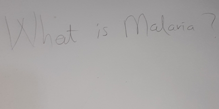 What is Malena?