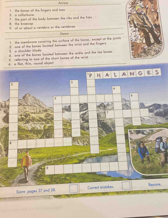 Across 
1. the bones of the fingers and toes 
5. a collarbone 
7. the part of the body between the ribs and the hips 
8. the kneecap 
9. of or about a vertebra or the vertebrae 
Down 
1. the membrane covering the surface of the bones, except at the joints 
2. one of the bones located between the wrist and the fingers 
3. a shoulder blade 
4. one of the bones located between the ankle and the toe bones 
5. referring to one of the short bones of the wrist 
6. a flat, thin, round object 
Score pages 37 and 38. .