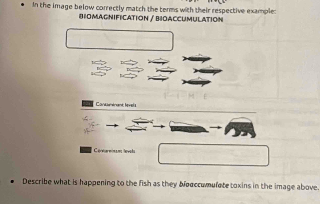 Solved: In the image below correctly match the terms with their ...