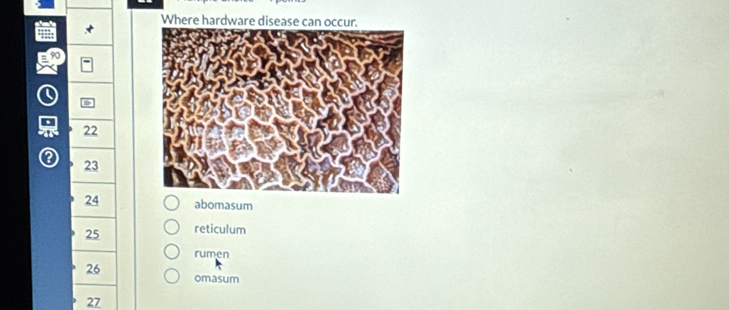 Where hardware disease can occur.
90
22
o
23
24 abomasum
25
reticulum 
rumen
26
omasum
27