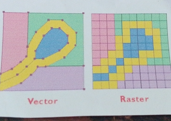 Vector Raster