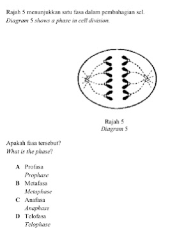 Selesai:Rajah 5 menunjukkan satu fasa dalam pembahagian sel. Diagram 5 ...