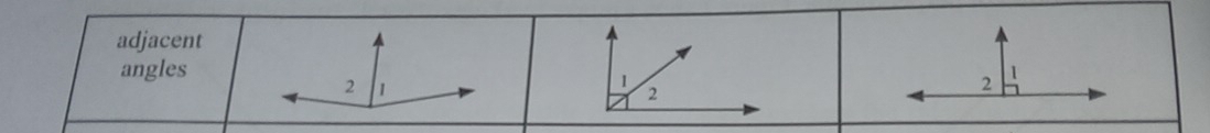 adjacent 
angles