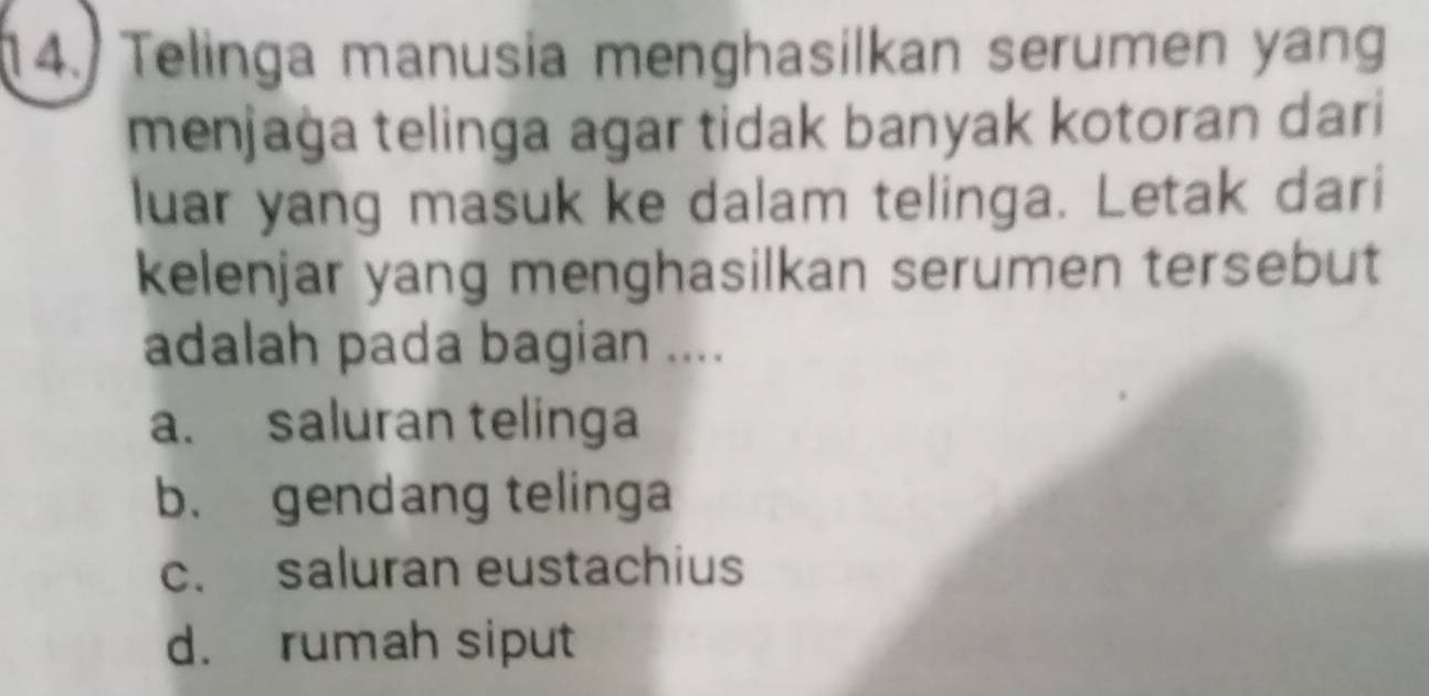 Telinga manusia menghasilkan serumen yang
menjaġa telinga agar tidak banyak kotoran dari
luar yang masuk ke dalam telinga. Letak dari
kelenjar yang menghasilkan serumen tersebut
adalah pada bagian ....
a. saluran telinga
b. gendang telinga
c. saluran eustachius
d. rumah siput