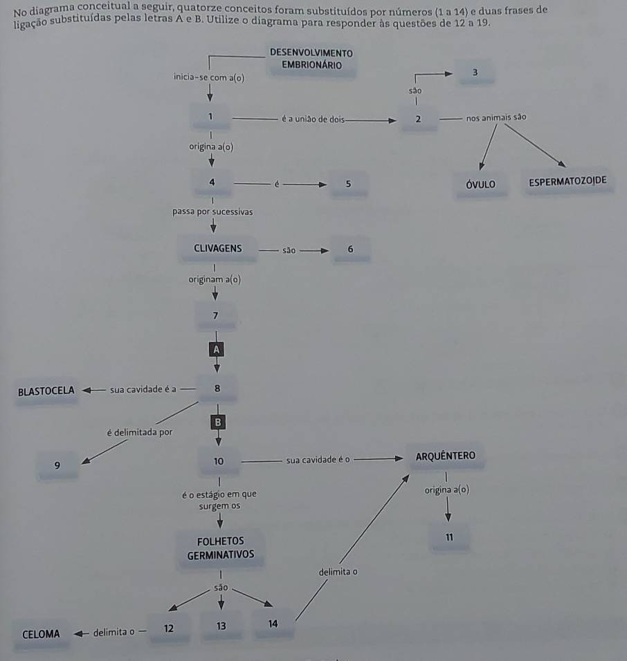 No diagrama conceitual a seguir, quatorze conceitos foram substituídos por números (1 a 14) e duas frases de 
lsigação substituídas pelas letras A e B. Utilize o diagrama para responder às questões de 12 a 19. 
DESENVOLVIMENTO 
EMBRIONÁRIO 
inicia-se com a(o)
3
são
1 é a união de dois 2 nos animais são 
origina a(o)
4 é 5 óvulo ESPERMATOZOJDE 
passa por sucessivas 
CLIVAGENS são 6
originam a(o)
7
A 
BLASTOCELA sua cavidade é a 8
B 
é delimitada por 
9 sua cavidade é o ARQUÊNTERO 
10 
é o estágio em que origina a(o)
surgem os 
FOLHETOS 11 
GERMINATIVOS 
delimita o 
sāo 
CELOMA delimita o — 12 13 14