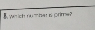 Which number is prime?