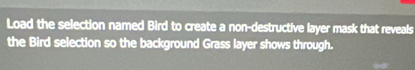 Load the selection named Bird to create a non-destructive layer mask that reveals 
the Bird selection so the background Grass layer shows through.