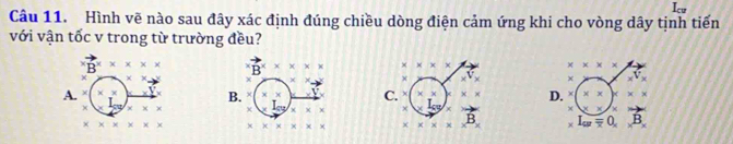 Icu
Câu 11. Hình vẽ nào sau đây xác định đúng chiều dòng điện cảm ứng khi cho vòng dây tịnh tiến
với vận tốc v trong từ trường đều?
B^x* x* x vector B^(x* x* x * * * * * * * *
x* x_2)
X x^Vx × x^Vx
A.
B. (* x C. * (* * )* * * D. (* * )* * *
x* x
5y* x* x _ kg/x
* * * * * * * x:x:x:x:x * * * * vector B I_av=0, vector B,